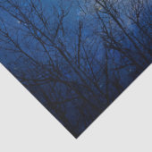 レイヴンの冬の飛行 薄葉紙 (詳細)