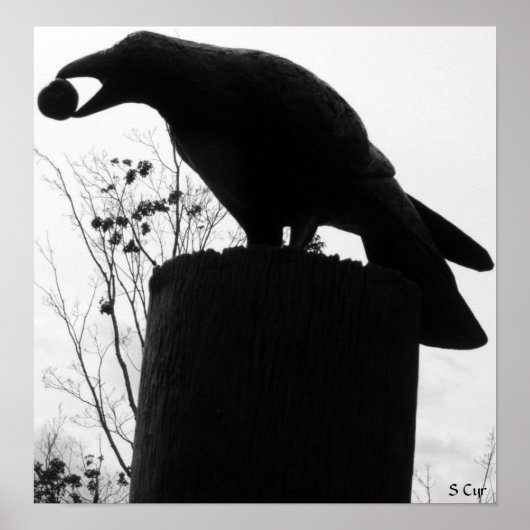 レイヴンの刺し傷S Cyr ポスター (正面)