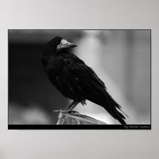 レイヴンを口にする ポスター (正面)