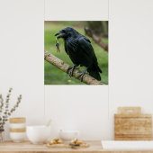 レイヴンオンザブランチ鍵 ポスター (キッチン)