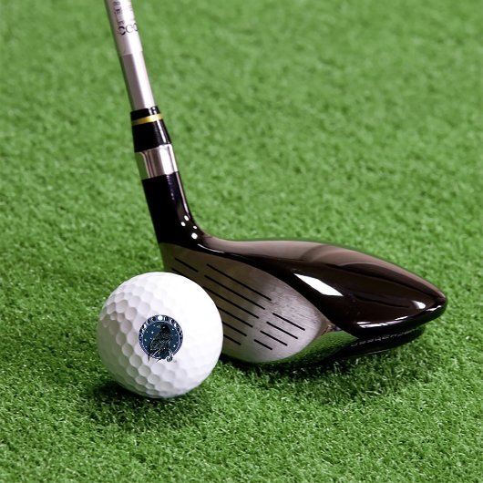 レイヴンムーンフェイズスターズブルー ゴルフボール