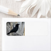 レイヴン待ち ラベル (インサイチュ)