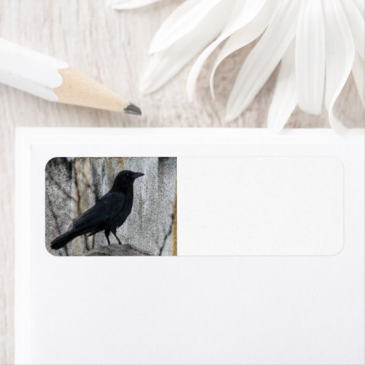 レイヴン待ち ラベル (インサイチュ)