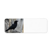 レイヴン待ち ラベル (正面)