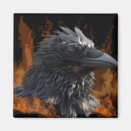 レイヴン磁石 マグネット (正面)