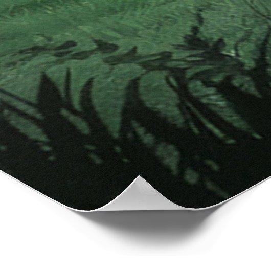 レイヴン補足ゲーテの不気味な満月のシーン ポスター (角)