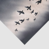 レイヴン飛んでいるストーム分離 薄葉紙 (詳細)