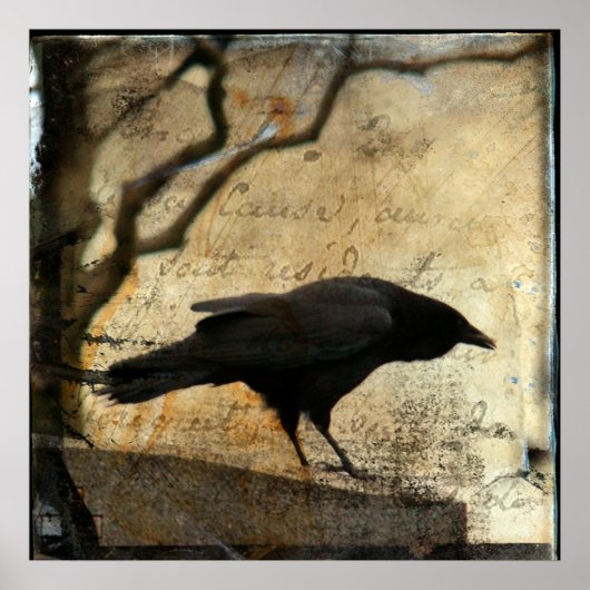 レイヴン・アート ポスター (正面)