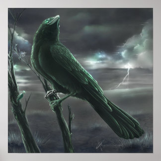 レイヴン・ボット ポスター