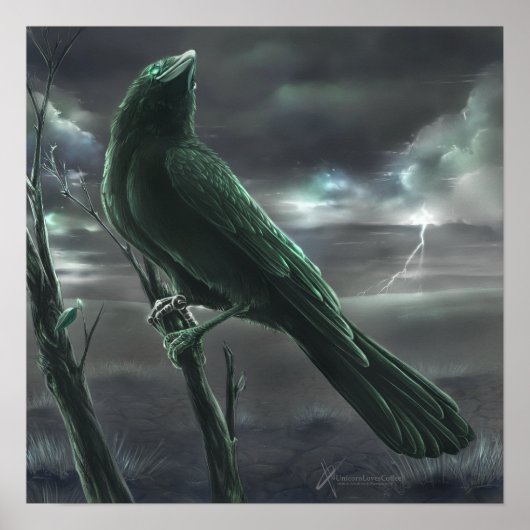 レイヴン・ボット ポスター (正面)