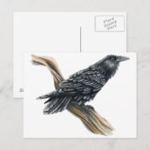 レイヴン ポストカード (正面/裏面)