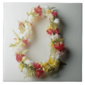 レイ タイル (正面)