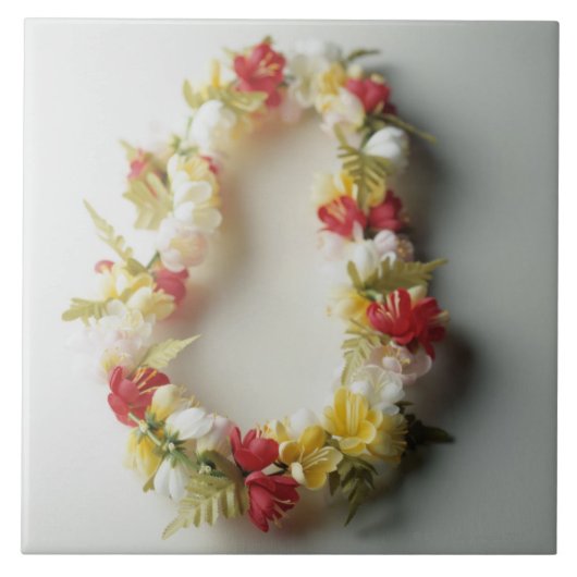 レイ タイル (正面)