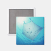 レイ マグネット (正面/裏面)