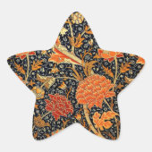 レイ、美しいウィリアム・モリスデザイン。 星シール (正面)