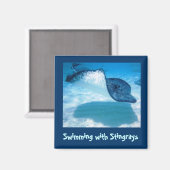 レイSWRS1で泳ぐ マグネット (正面/裏面)