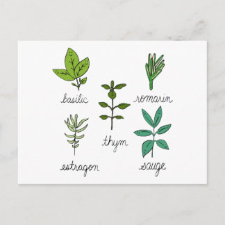 レエルベス ポストカード