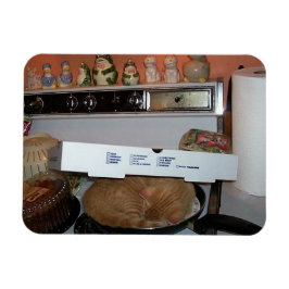 レオのピザ毛布 マグネット