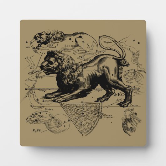 レオコンステレーションマップHevelius 1690上のTaupe フォトプラーク (正面)