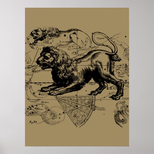 レオコンステレーションマップHevelius 1690上のTaupe ポスター (正面)