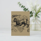 レオコンステレーション1690年頃の地図ヘベリアス ポストカード (スタンド正面)