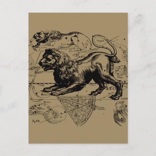 レオコンステレーション1690年頃の地図ヘベリアス ポストカード (正面)