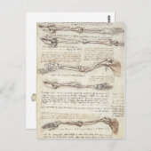 レオナルドの四肢ポストカード ポストカード (正面/裏面)