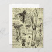 レオナルドダヴィンチヴィンテージヒト解剖学的喉頭脚 (正面/裏面)