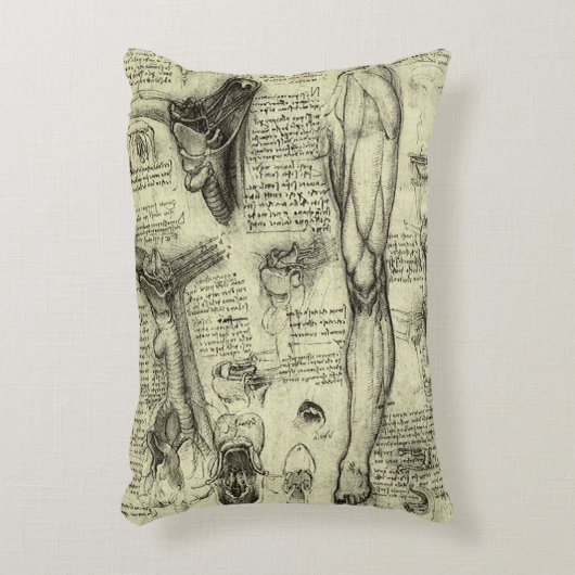 レオナルドダヴィンチヴィンテージヒト解剖学的喉頭脚 アクセントクッション (正面(垂直))