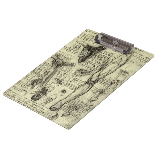 レオナルドダヴィンチヴィンテージヒト解剖学的喉頭脚 クリップボード (アングル)