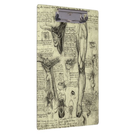 レオナルドダヴィンチヴィンテージヒト解剖学的喉頭脚 クリップボード (右)