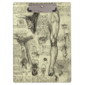 レオナルドダヴィンチヴィンテージヒト解剖学的喉頭脚 クリップボード (正面)