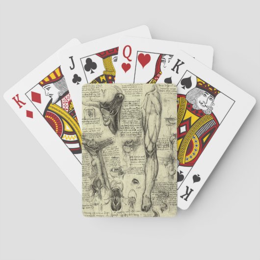 レオナルドダヴィンチヴィンテージヒト解剖学的喉頭脚 トランプ (裏面)