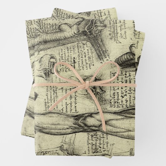 レオナルドダヴィンチヴィンテージヒト解剖学的喉頭脚 ラッピングペーパーシート (インサイチュ)