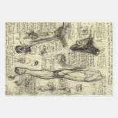 レオナルドダヴィンチヴィンテージヒト解剖学的喉頭脚 ラッピングペーパーシート (正面)