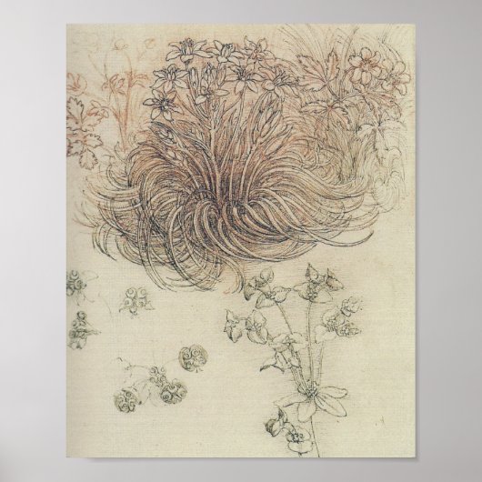 レオナルドボタニカル勉強 ポスター (正面)