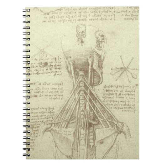 レオナルド・ダ・ヴィンチによる人間の解剖学的脊柱 ノートブック (正面)
