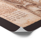 レオナルド・ダ・ヴィンチによる人間の解剖学的骨格の骨 ポスター (角)