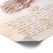 レオナルド・ダ・ヴィンチによる人間の解剖学足の骨 ポスター (角)