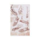 レオナルド・ダ・ヴィンチによる人間の解剖学、足骨格