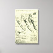 レオナルド・ダ・ヴィンチによる腕と肩の解剖図 キャンバスプリント (正面)
