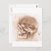 レオナルド・ダ・ヴィンチによる頭蓋骨の図（1489年頃） ポストカード (正面/裏面)