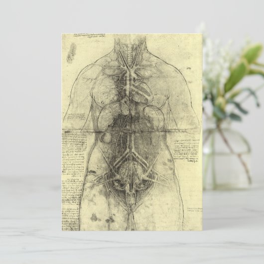 レオナルド・ダ・ヴィンチのヒト解剖学女性トルソ (スタンド正面)