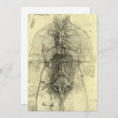 レオナルド・ダ・ヴィンチのヒト解剖学女性トルソ (正面/裏面)