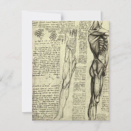 レオナルド・ダ・ヴィンチのヒト解剖学的男性筋肉 (正面)