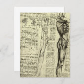 レオナルド・ダ・ヴィンチのヒト解剖学的男性筋肉 (正面/裏面)