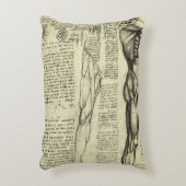 レオナルド・ダ・ヴィンチのヒト解剖学的男性筋肉 アクセントクッション (正面(垂直))