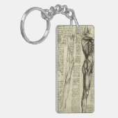 レオナルド・ダ・ヴィンチのヒト解剖学的男性筋肉 キーホルダー (正面左)