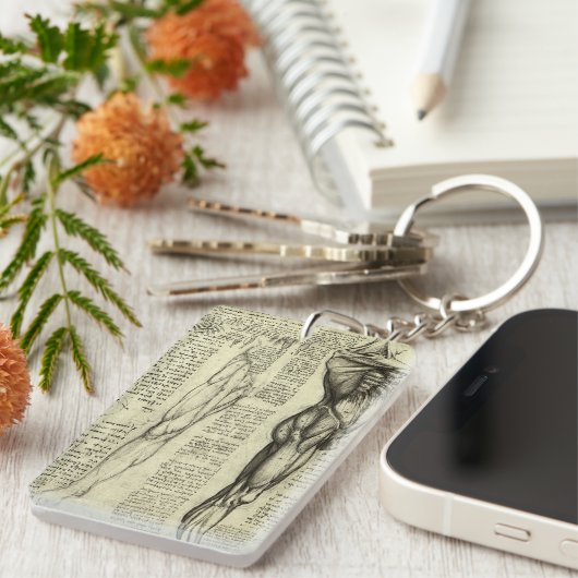 レオナルド・ダ・ヴィンチのヒト解剖学的男性筋肉 キーホルダー (正面右)