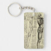 レオナルド・ダ・ヴィンチのヒト解剖学的男性筋肉 キーホルダー (正面)